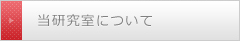 当研究会について